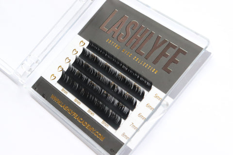 BOTTOM LASHES BOTTOM LASHES